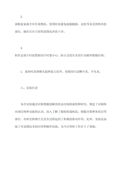 根解剖形态结构实验报告