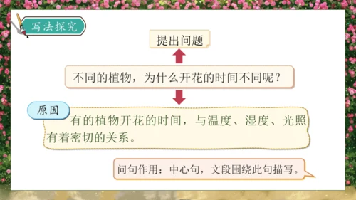【核心素养】部编版语文三年级下册-13. 花钟 第2课时（课件）