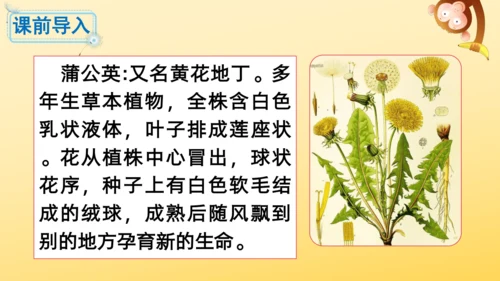 16 金色的草地  课件