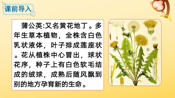 16 金色的草地  课件