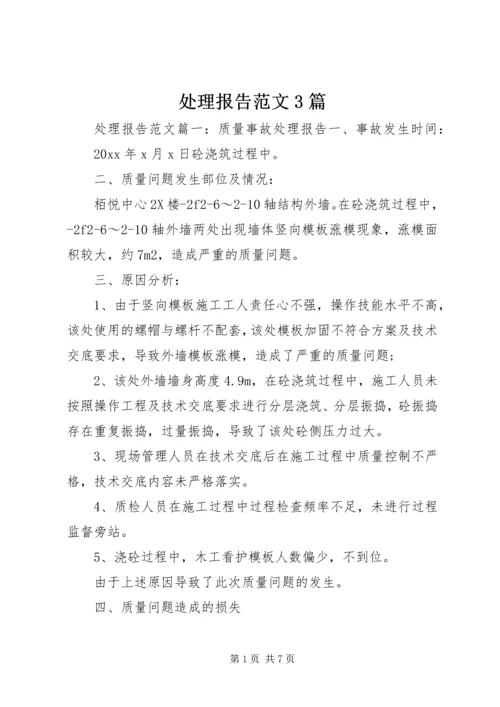 处理报告范文3篇 (2).docx