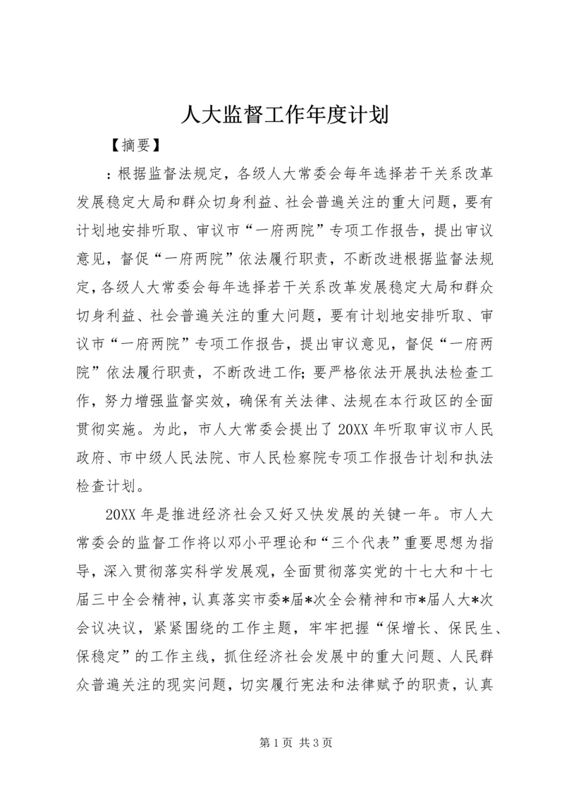 人大监督工作年度计划.docx