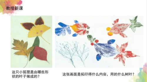 第十一课《拓印树叶真有趣》课件