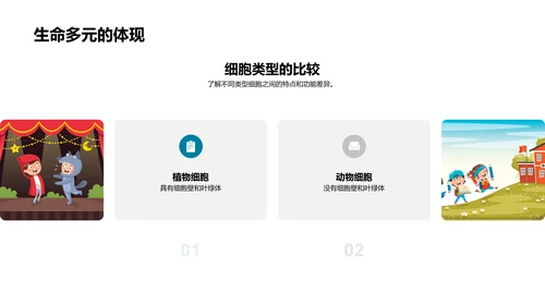 细胞结构与功能PPT模板