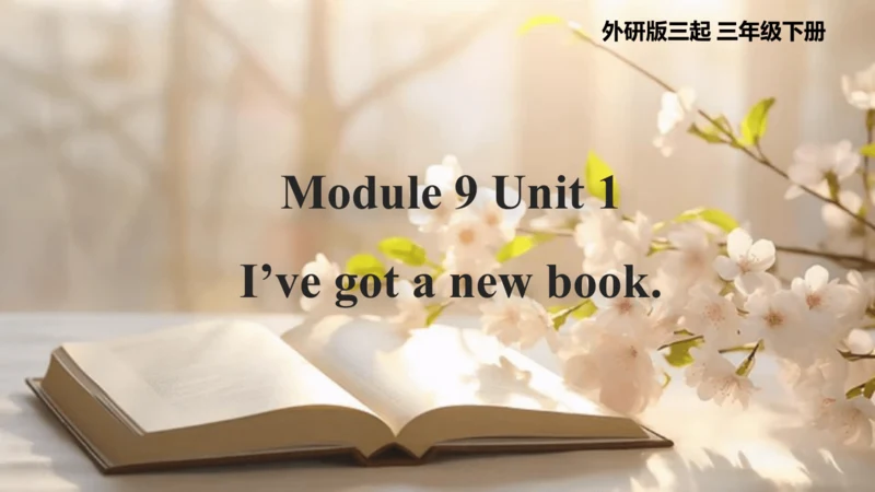 Module 9 Unit 1  I've got a new book 课件（共49张PPT）