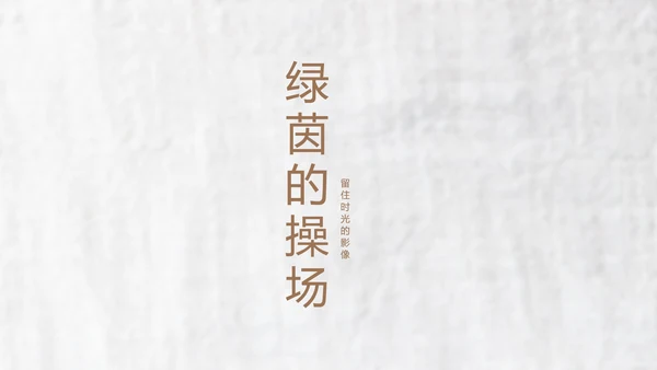 致青春毕业季大学毕业纪念册电子相册动态PPT