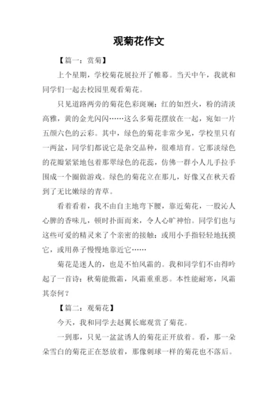 观菊花作文0.docx