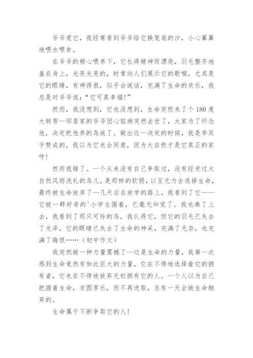选择话题作文600字.docx