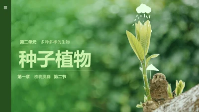 人教版（2024）七年级上册2.1.2 种子植物 课件(共32张PPT)+视频素材
