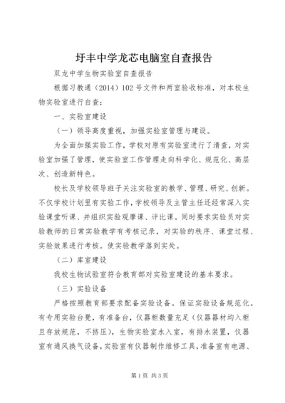 圩丰中学龙芯电脑室自查报告 (3).docx