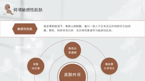 高级灰和棕色简约实拍风美容护肤美容知识培训PPT
