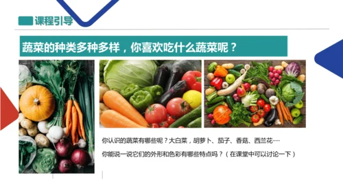 各式各样的蔬菜
