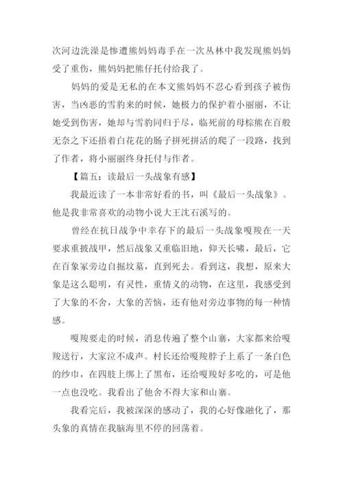 读最后一头战象有感350字.docx