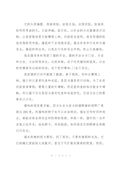 小猫的作文600字五篇.docx