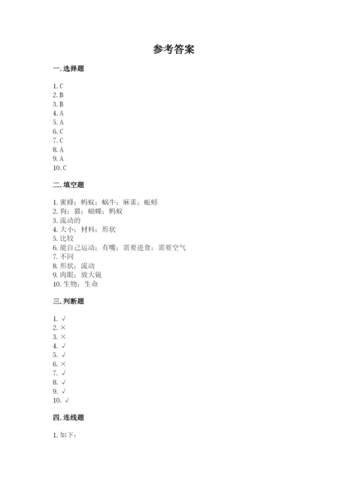 教科版一年级下册科学期末测试卷【b卷】.docx