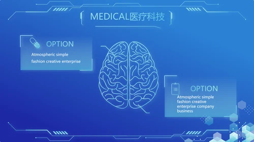 蓝色医疗科技信息化建设工作总结PPT