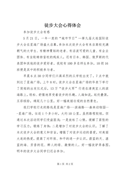 徒步大会心得体会 (4).docx