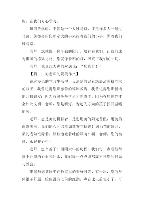 对老师的赞美作文.docx