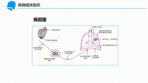 呼吸科护理查房PPT课件（呼吸衰竭）