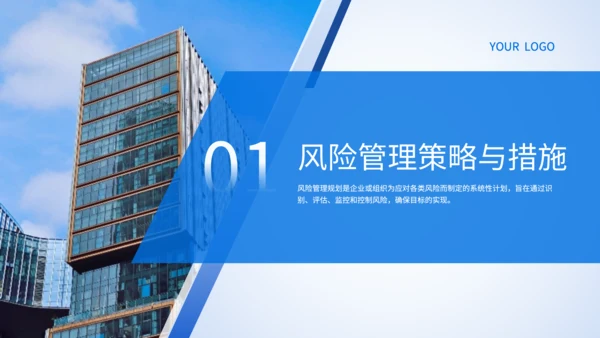 蓝色商务风保险公司风险管理工作规划PPT