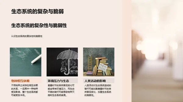 寒露季节的自然奥秘