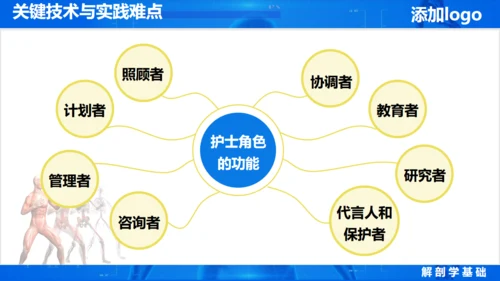 人体奥秘医学解剖学学术论文通用PPT模版