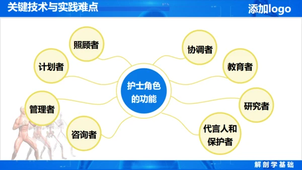 人体奥秘医学解剖学学术论文通用PPT模版