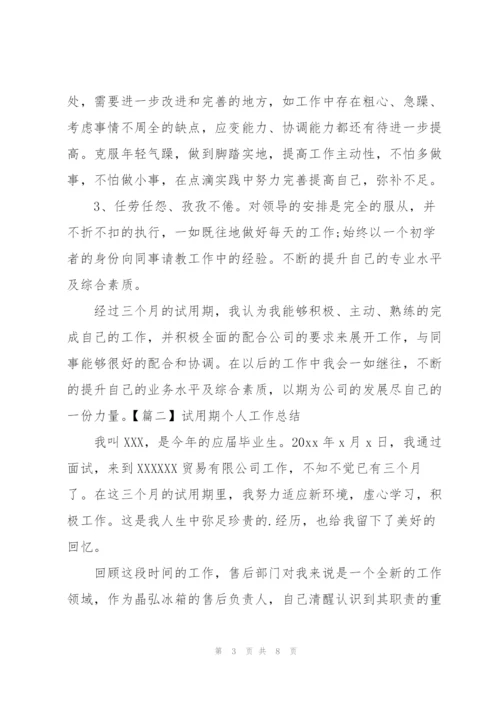 试用期个人工作总结开头范文.docx