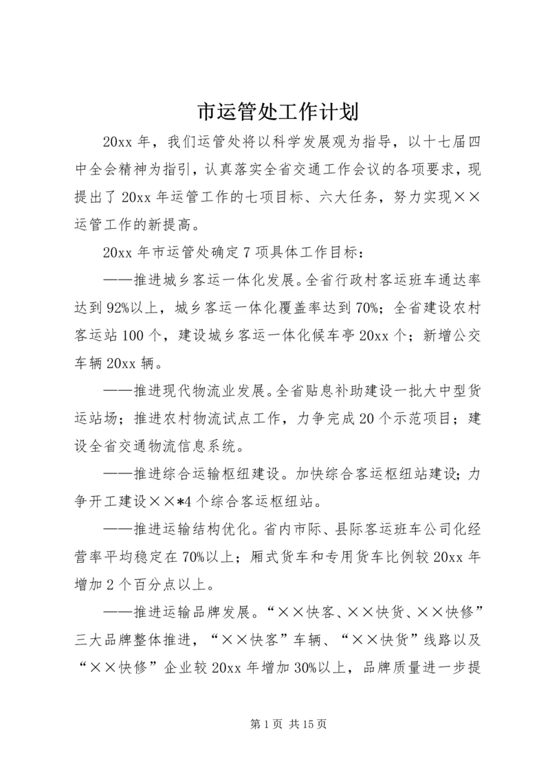 市运管处工作计划.docx