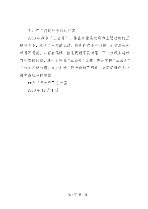 乡镇政府三公开工作总结.docx