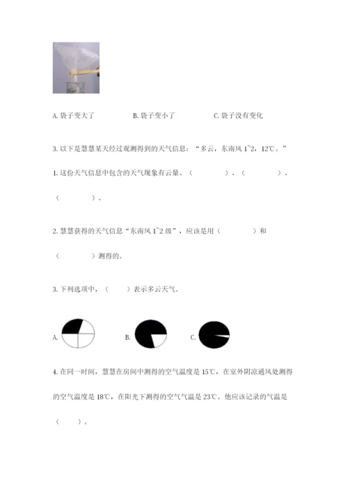 教科版三年级上册科学期末测试卷（实用）word版.docx