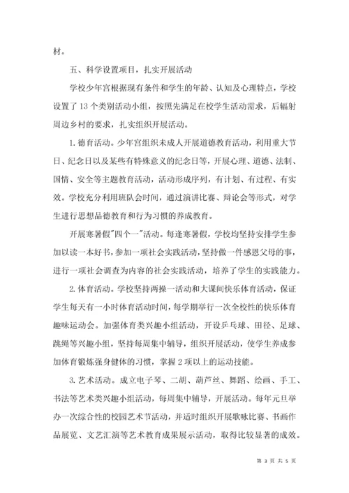 乡村学校少年宫活动情况汇报.docx