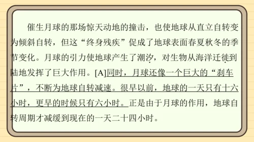 统编版语文六年级上册主题八　科学智慧 阅读与写作指导课件