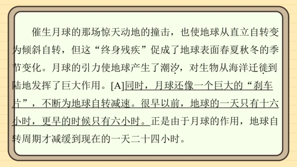 统编版语文六年级上册主题八　科学智慧 阅读与写作指导课件