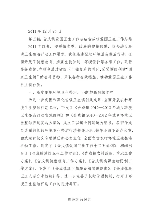 告成镇爱国卫生组织管理工作汇报.docx