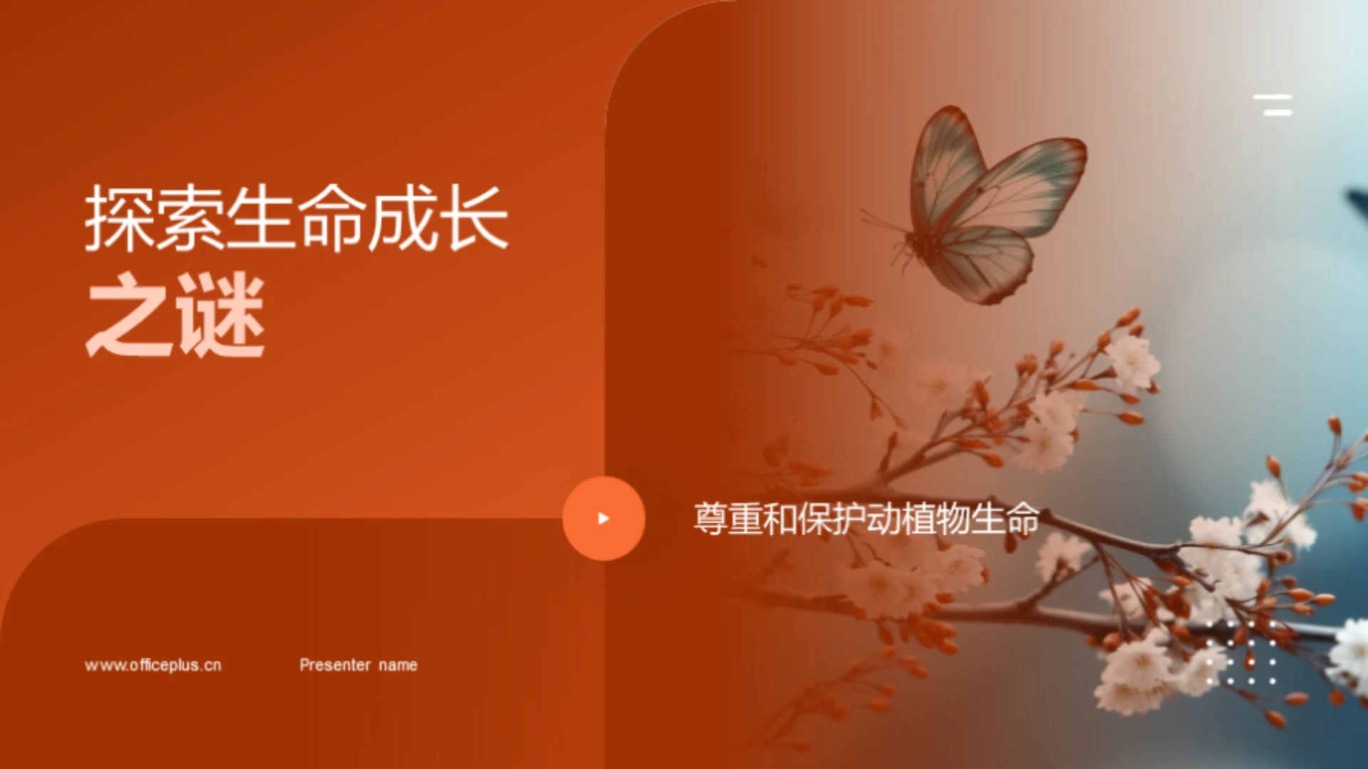 探索生命成长之谜