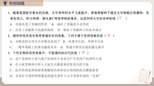 复习专题六生物的遗传与变异（串讲课件）-八年级生物上学期期末考点大串讲（人教版）(共23张PPT)