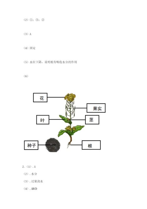 教科版四年级下册科学第一单元《植物的生长变化》测试卷精品及答案.docx