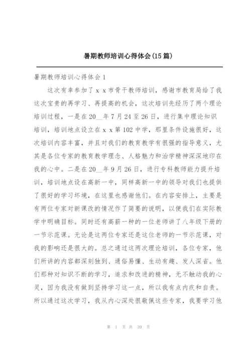 暑期教师培训心得体会(15篇).docx