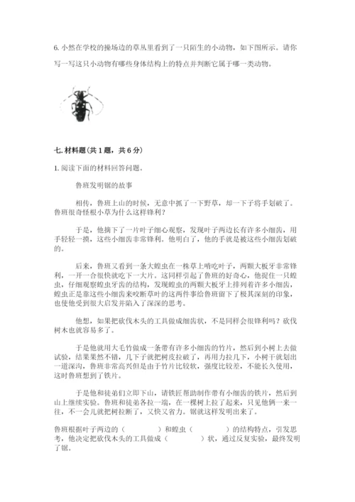 教科版科学三年级下册 期末测试卷带答案（精练）.docx