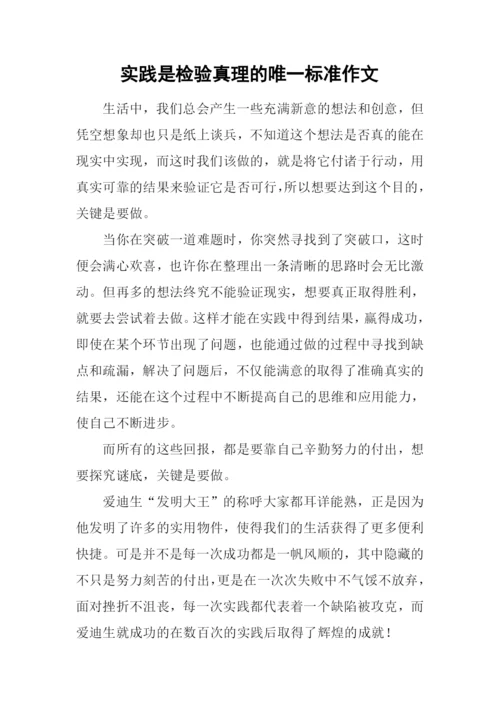 实践是检验真理的唯一标准作文.docx