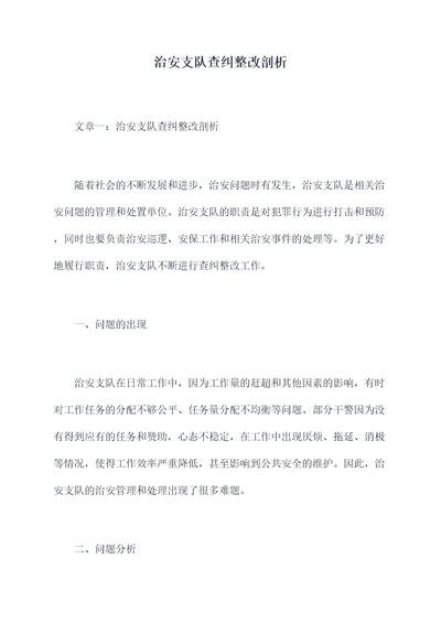 治安支队查纠整改剖析