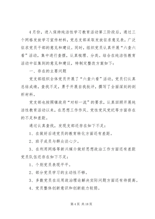 保持党的纯洁性整改方案.docx