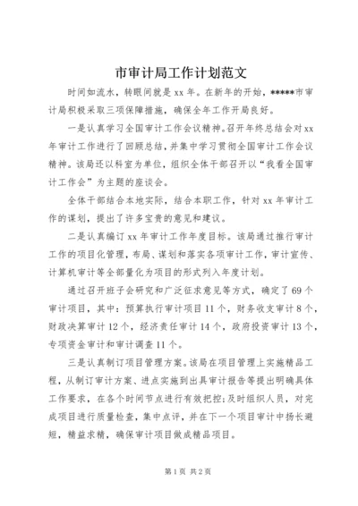 市审计局工作计划范文.docx