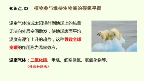 3.2.4植物在自然界中的作用-七年级生物下学期同步精品课件（2024人教版）(共27张PPT)