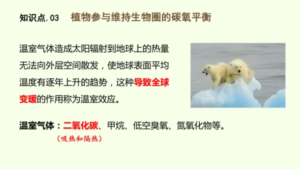 3.2.4植物在自然界中的作用-七年级生物下学期同步精品课件（2024人教版）(共27张PPT)