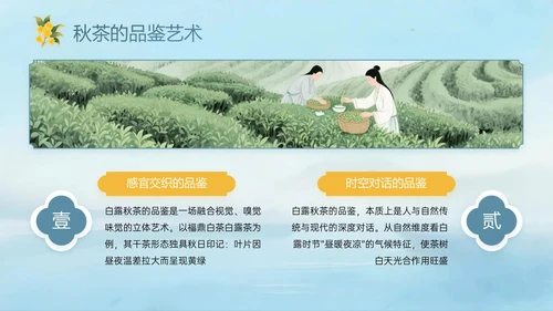 蓝绿黄色中国风白露节气PPT模板