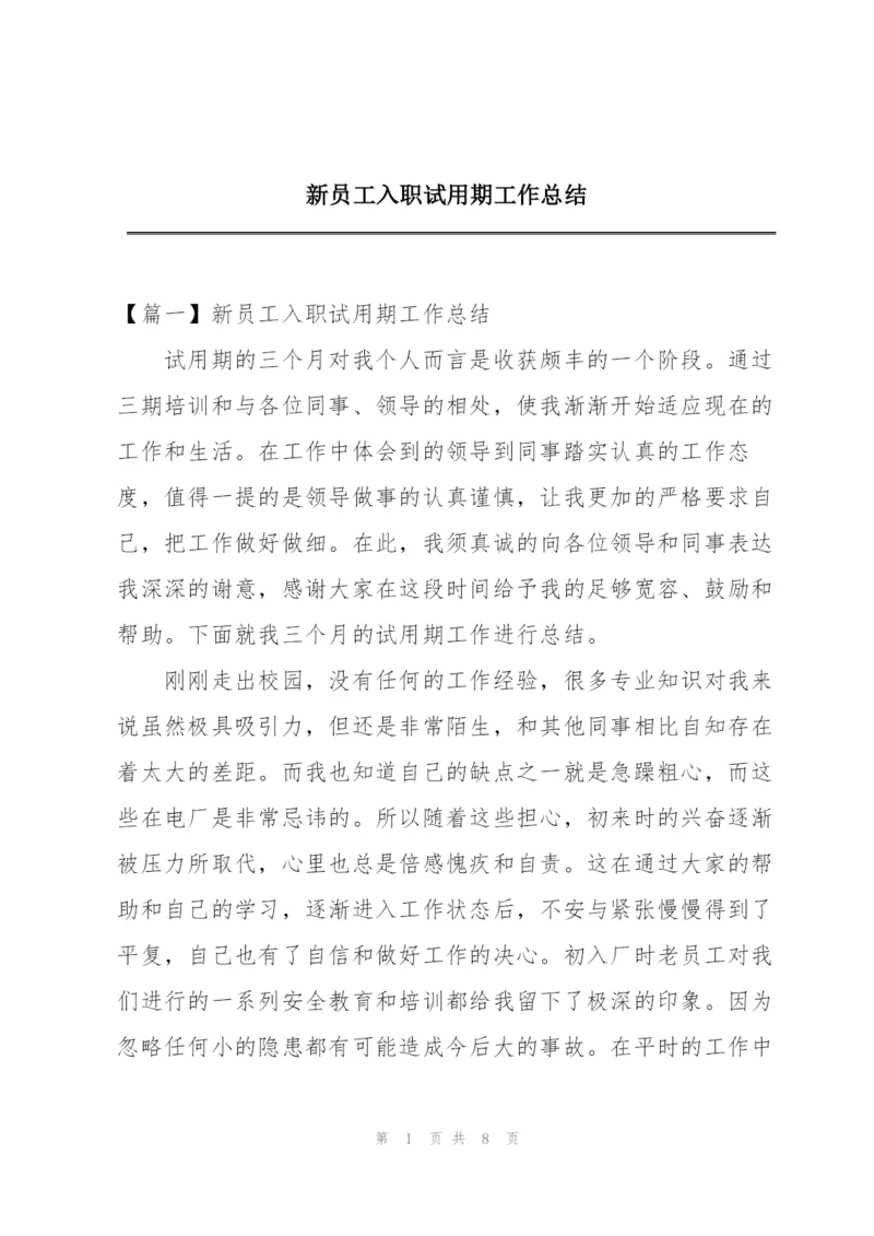 新员工入职试用期工作总结.docx