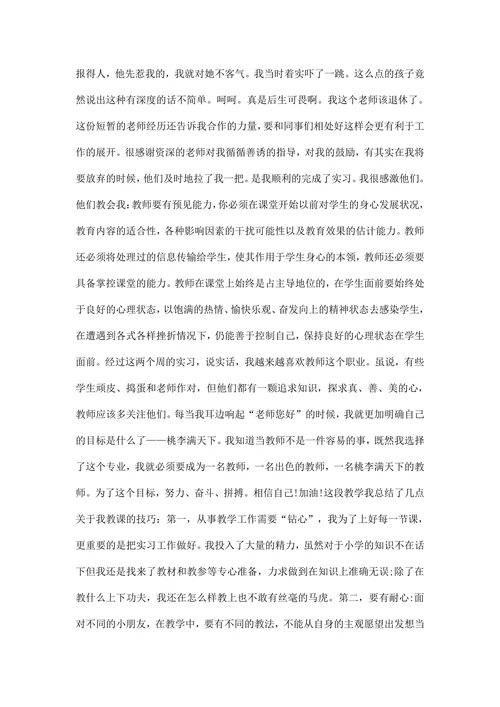 小学教育实习报告范文