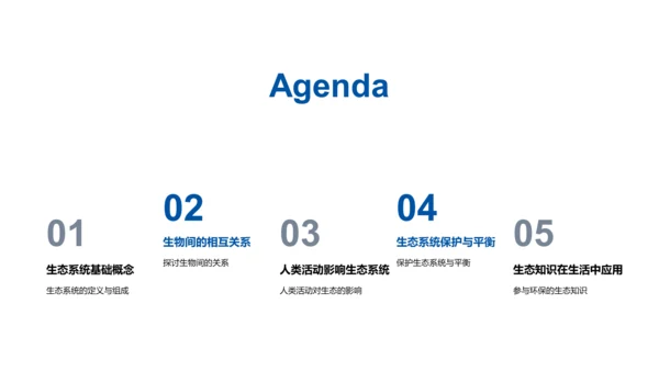 生态系统解析PPT模板